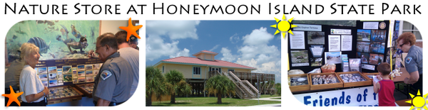 Rotary Centennial Nature Center Store at Honeymoon Island State Park