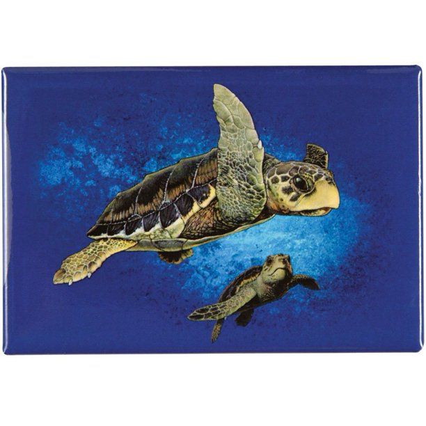 Bookmark, Magnetic, Journal Clip – Rotary Centennial Nature Center Store at  Honeymoon Island State Park