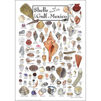 Puzzle, Boxed -H- Shells Gulf