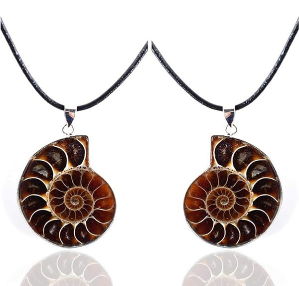 Jewelry - Earrings, Ammonite