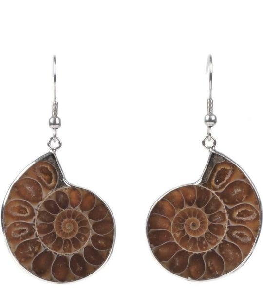 Jewelry - Earring, Fossil