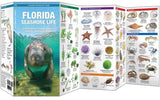 Folding Guide - FL Seashore Life