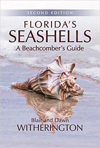 Books - Florida's Seashells