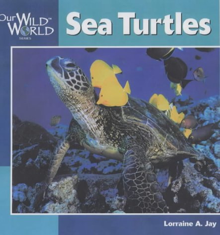 Books - O.W.W. Sea Turtles
