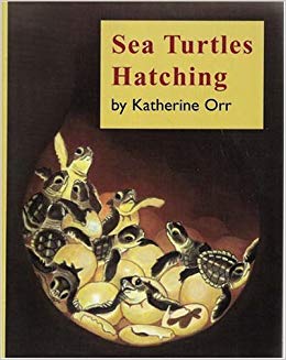 Books - Sea Turtles Hatching