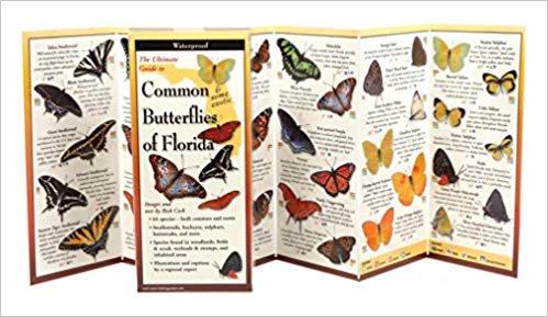 Folding Guide, Butterflies