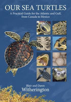Books - Our Sea Turtles