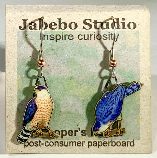 Jewelry - Earrings, Cooper's Hawk