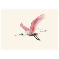 Cards, HISP Box Spoonbill