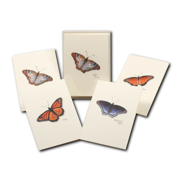 Cards, HISP Box Butterfly Asst.