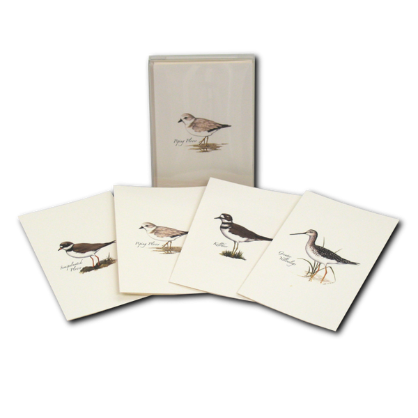 Cards, HISP Box Shorebird