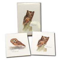 Cards, HISP Box Owl Asst.