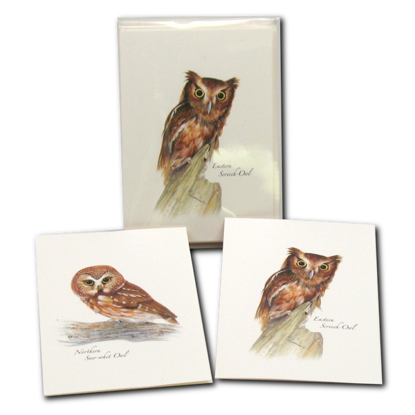 Cards, HISP Box Owl Asst.