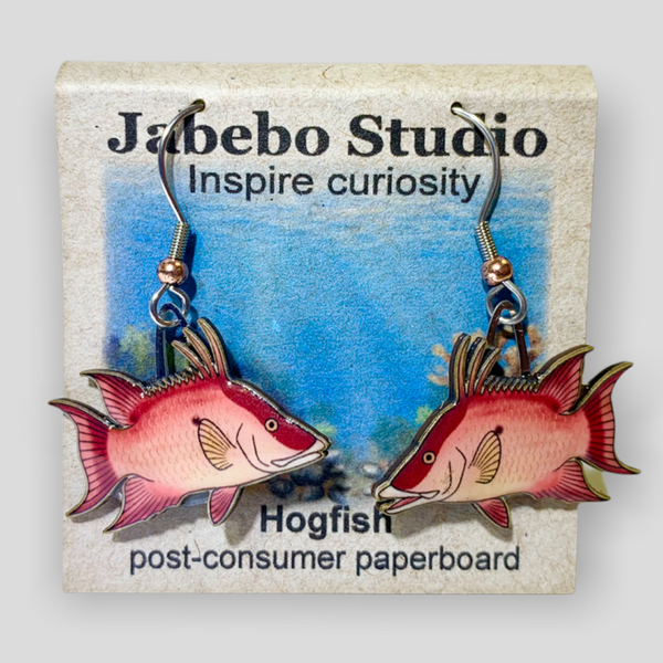 Jewelry - Earrings, Hogfish