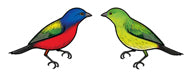 Jewelry - Earrings, Painted Bunting