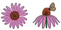 Jewelry - Earrings, Echinacea w Butterfly