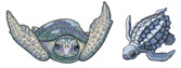 Jewelry - Earrings, Blue Kemp's Ridley Sea Turtle