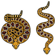 Jewelry - Earrings, Diamond Backed Rattlesnake