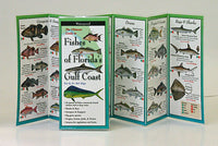Folding Guide, Fishes of Florida