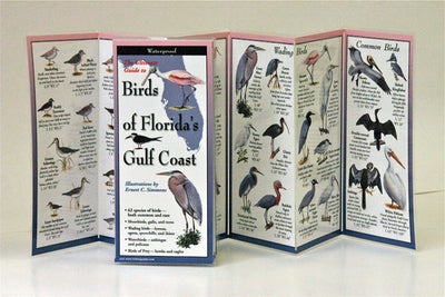 Folding Guide, Birds